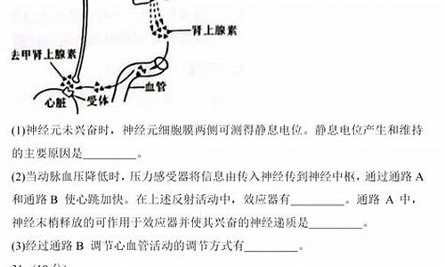 2014高考生物卷及答案-2014年全国二卷生物答案解析