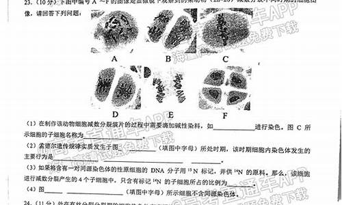 生物高考实验操作-生物高考实验